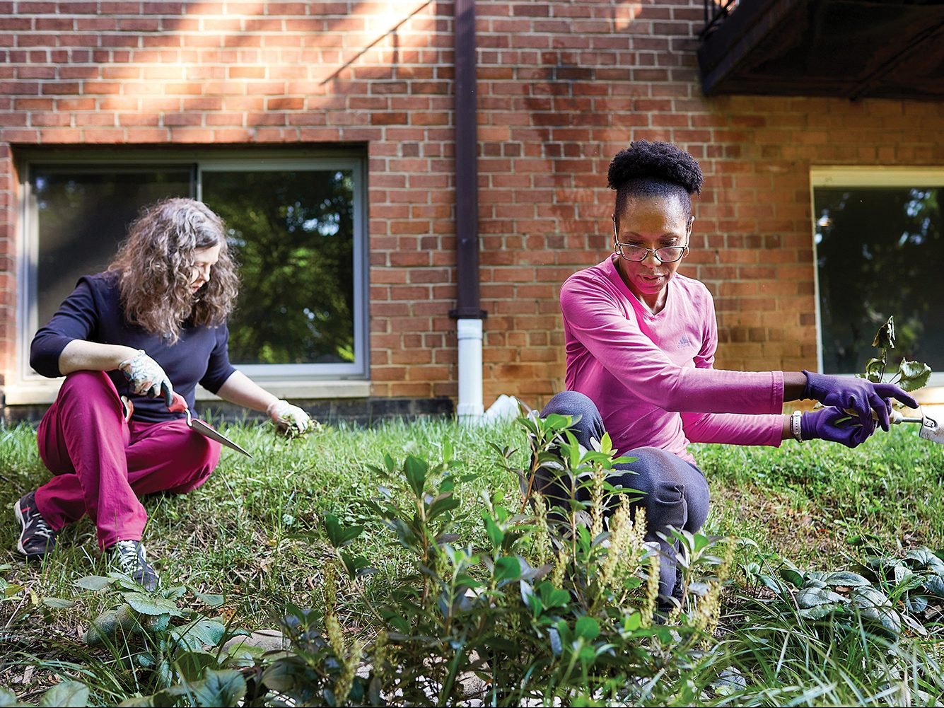 MoCo residents, communities construct lovely and biodiverse rain gardens