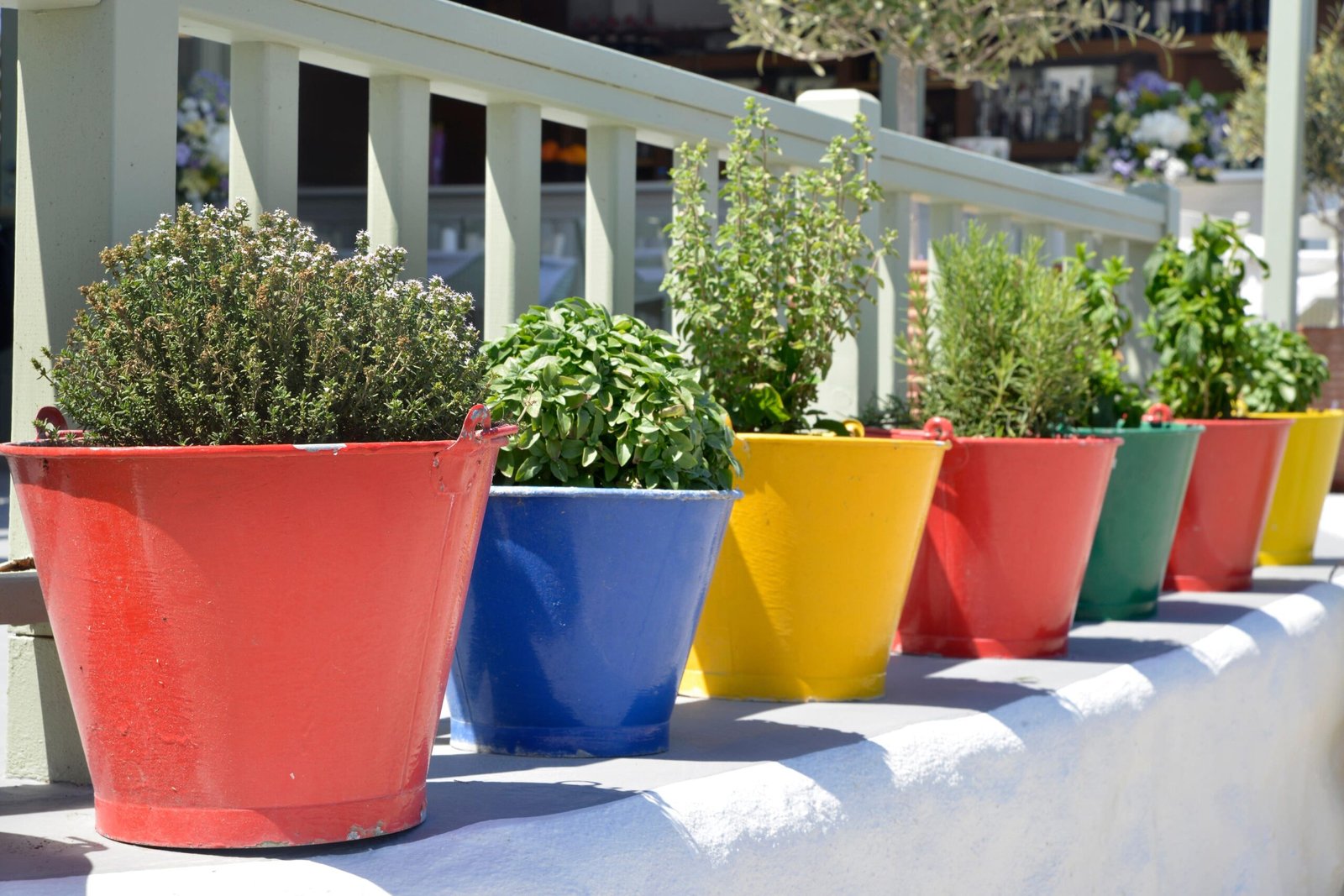 Tips on how to perk up city balcony gardens and window packing containers